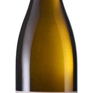 PFALZ 2024 <br> Grauer Burgunder