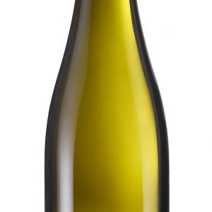 PFALZ 2023 <br> Riesling