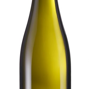 PFALZ 2024 <br> Silvaner