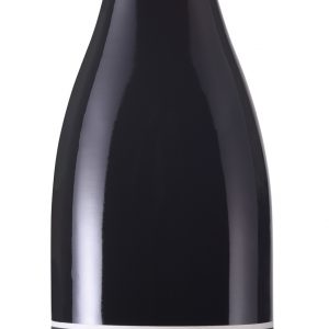 2017 Spätburgunder <br> Muschelkalk