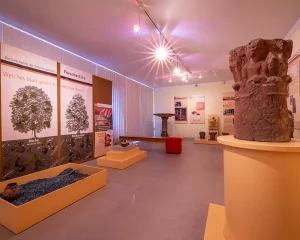 Porzelt_diashow_Wald, Schloss, Schuh Ausstellung in Pirmasens