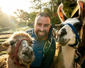 Porzelt_diashow_Wandern mit Lamas um Annweiler am Trifels_1